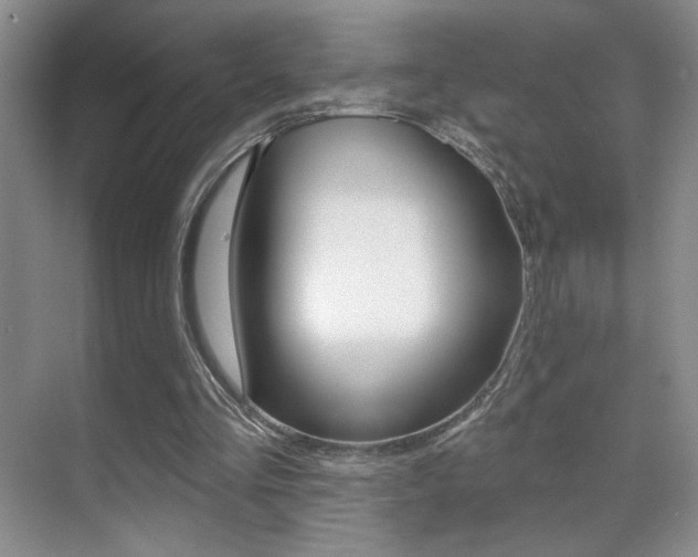 X0000070400293200606090937