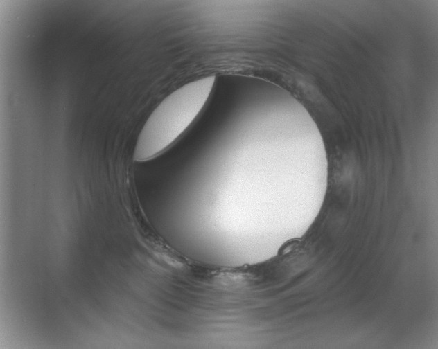X0000070400332200606090936