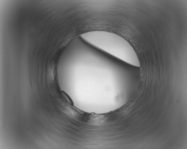 X0000070400334200606090936