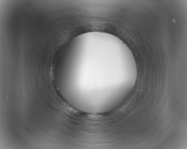 X0000070400336200606090936