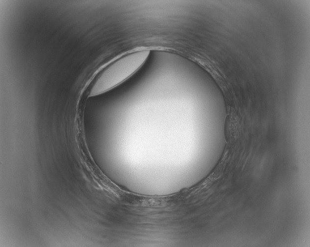X0000070400338200606090935