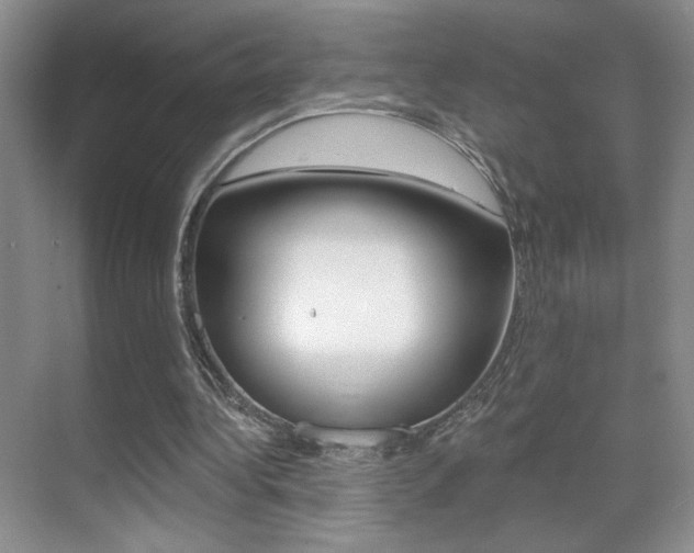 X0000070400340200606090935