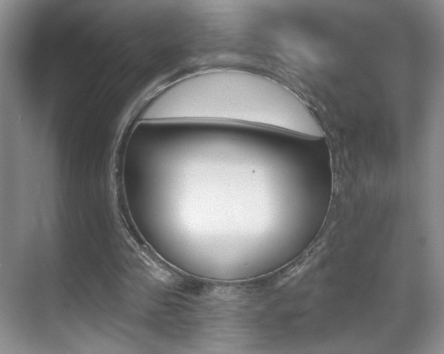 X0000070400341200606090935