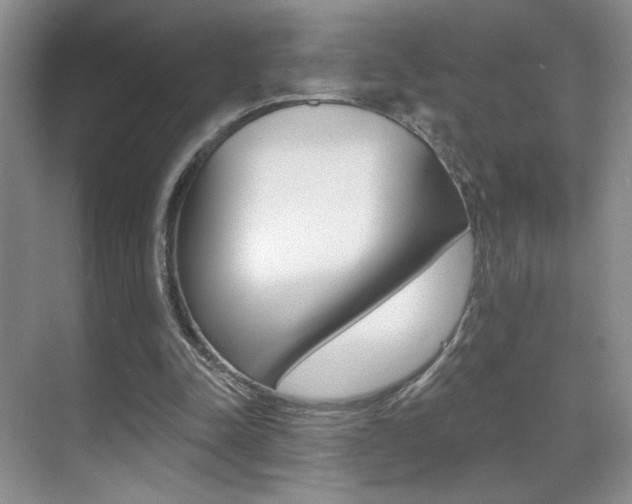 X0000070400342200606090935