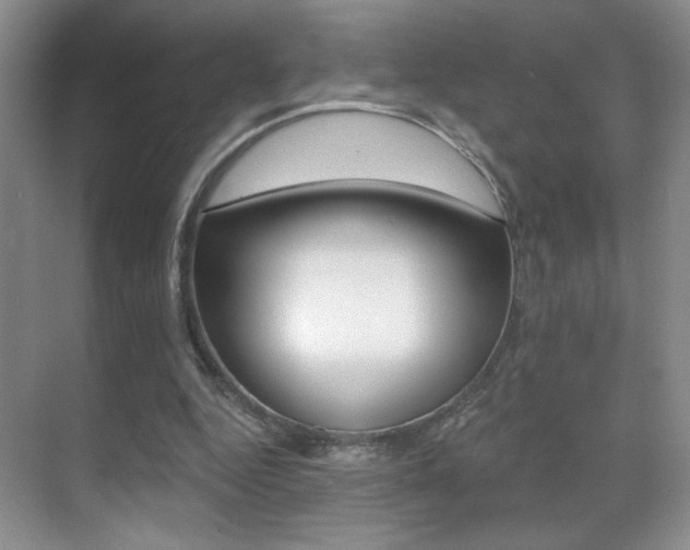 X0000070400344200606090935