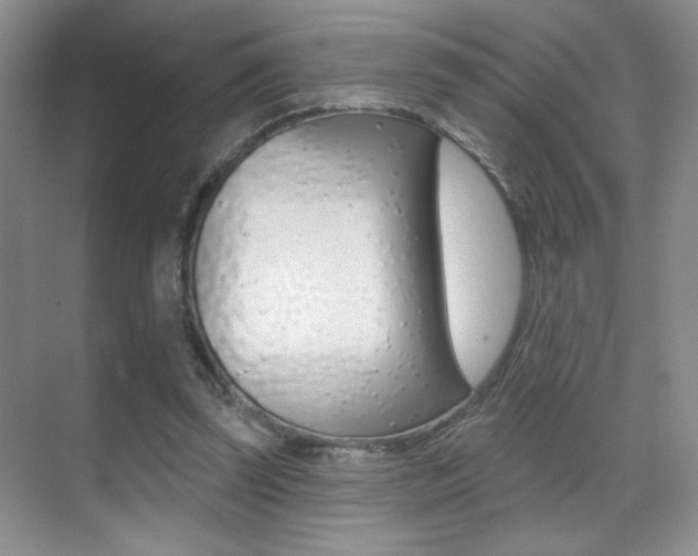 X0000070400347200606090935