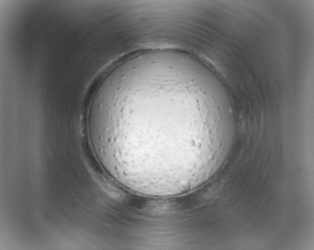 X0000070400351200606090935