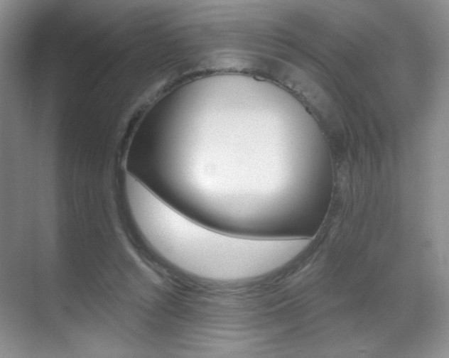 X0000070400352200606090935