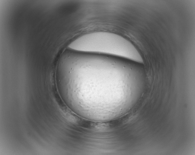 X0000070400359200606090935