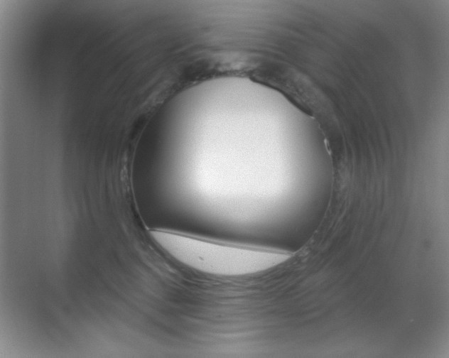 X0000070400376200606090936