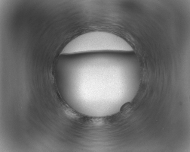 X0000070400377200606090936