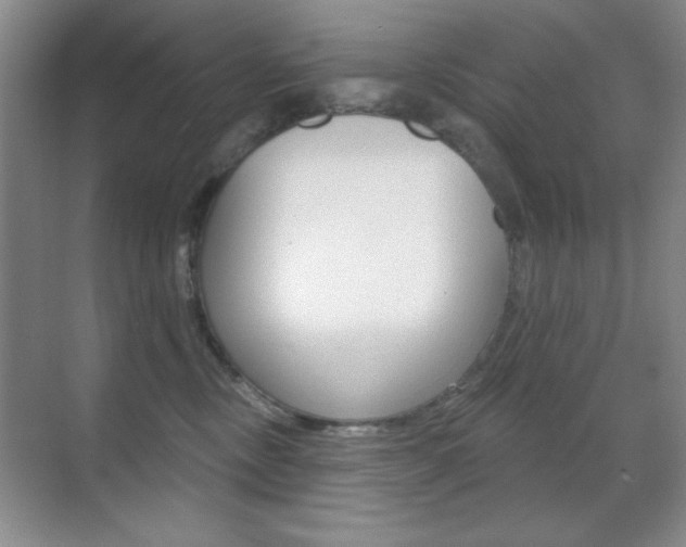 X0000070400378200606090936