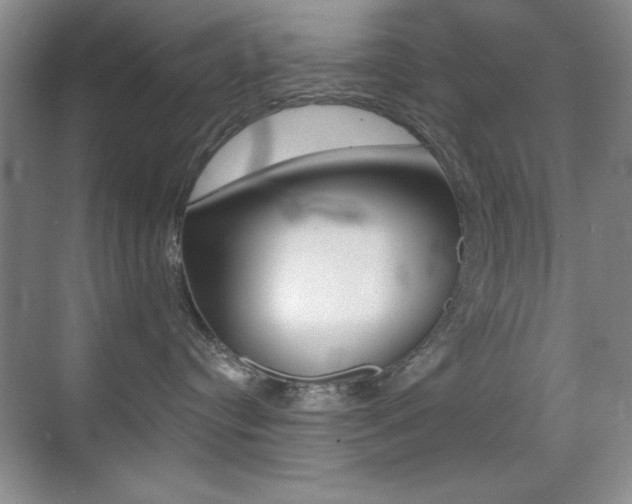 X0000070400384200606090936