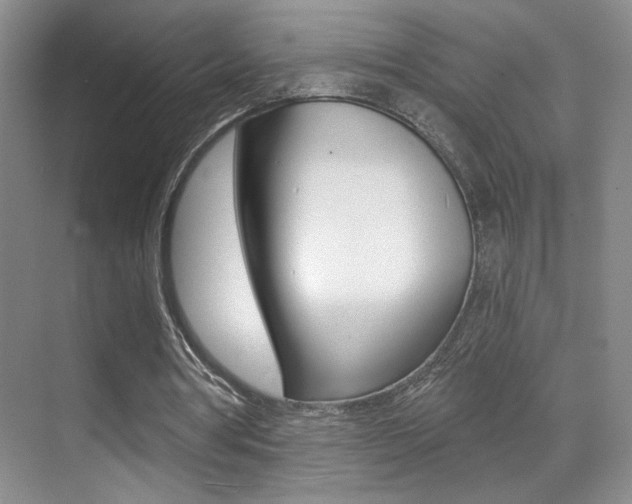 X0000070400386200606090935