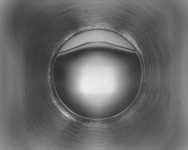 X0000070400389200606090935