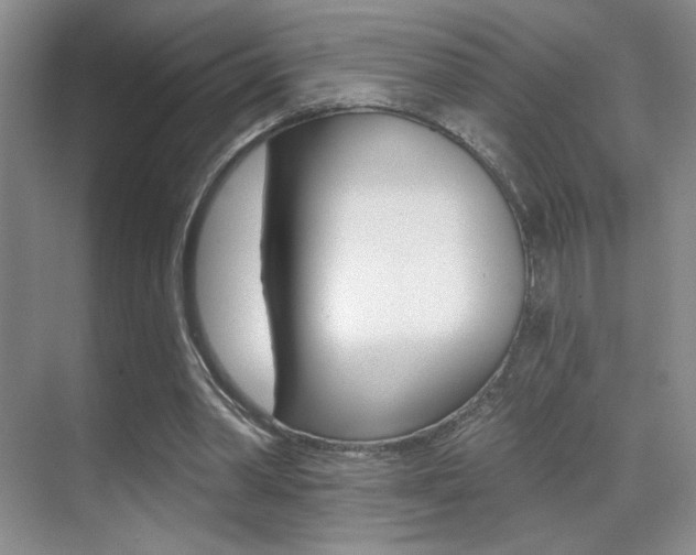 X0000070400390200606090935