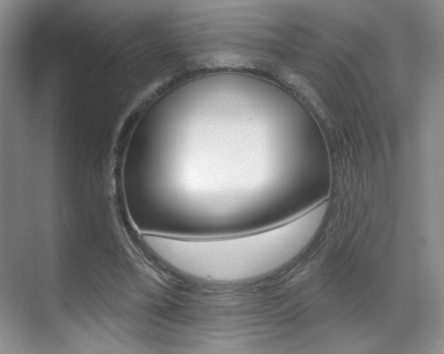 X0000070400395200606090935
