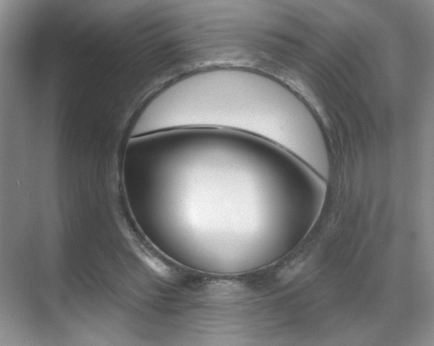 X0000070400397200606090935