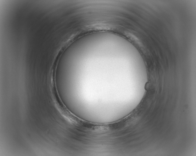 X0000070400398200606090935