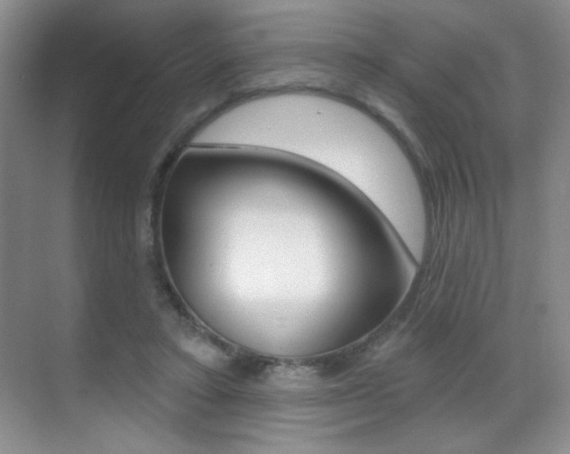 X0000070400403200606090935