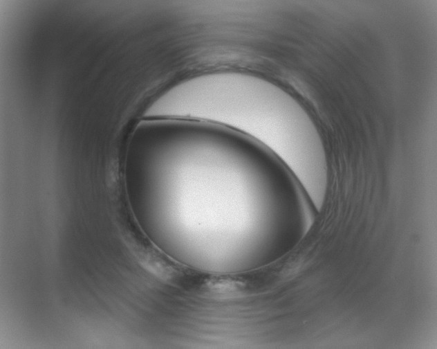 X0000070400407200606090935