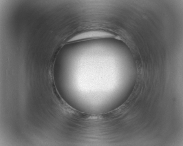 X0000070400415200606090935