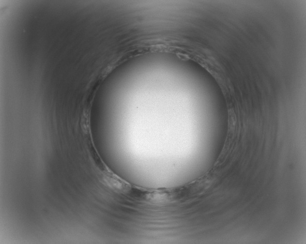 X0000070400419200606090934