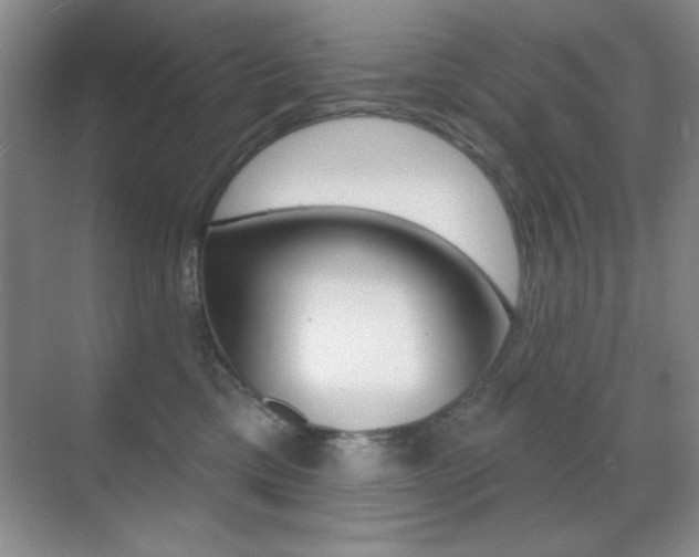 X0000070400425200606090934