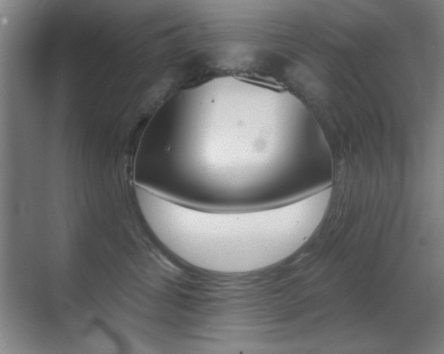 X0000070400428200606090934