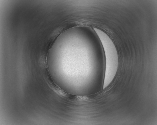 X0000070400429200606090934