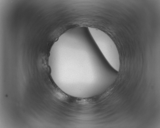 X0000070400430200606090934