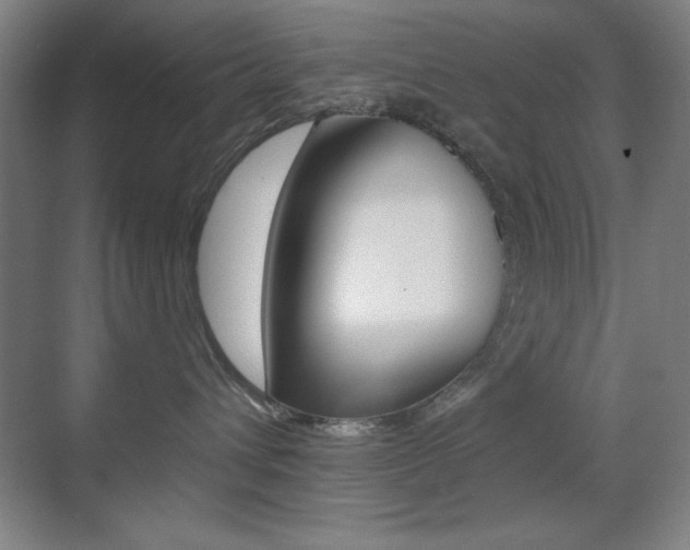 X0000070400432200606090934