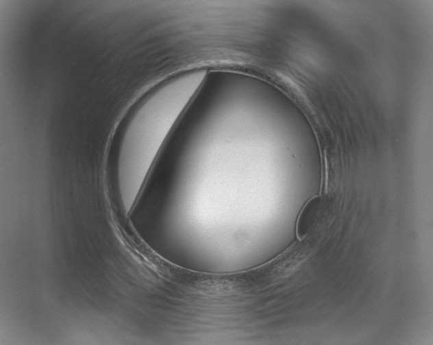 X0000070400435200606090933