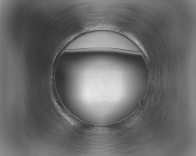 X0000070400437200606090934