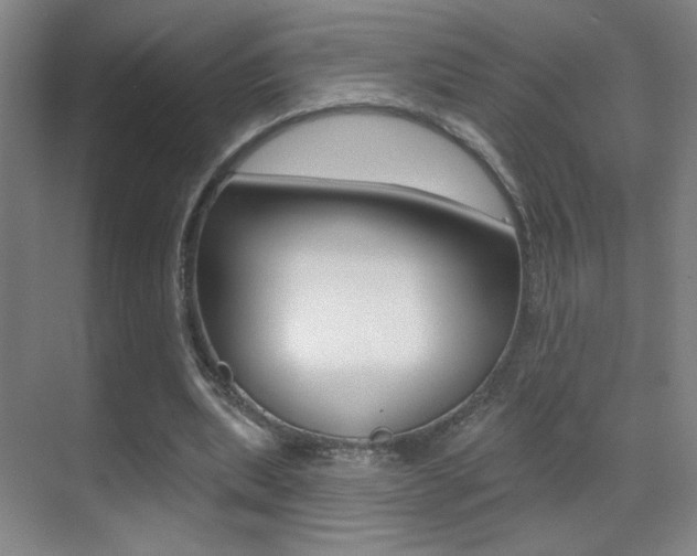 X0000070400439200606090934