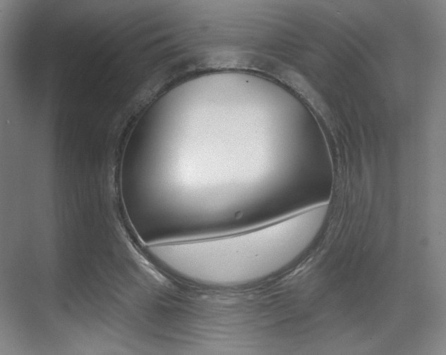 X0000070400441200606090934
