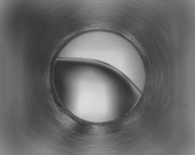 X0000070400442200606090934