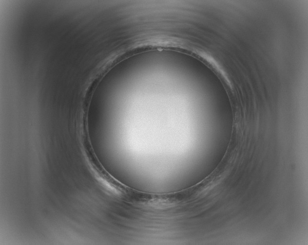 X0000070400445200606090934
