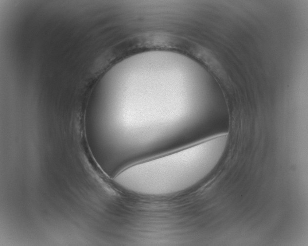 X0000070400449200606090934