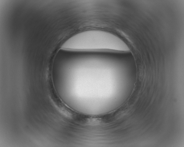 X0000070400451200606090934