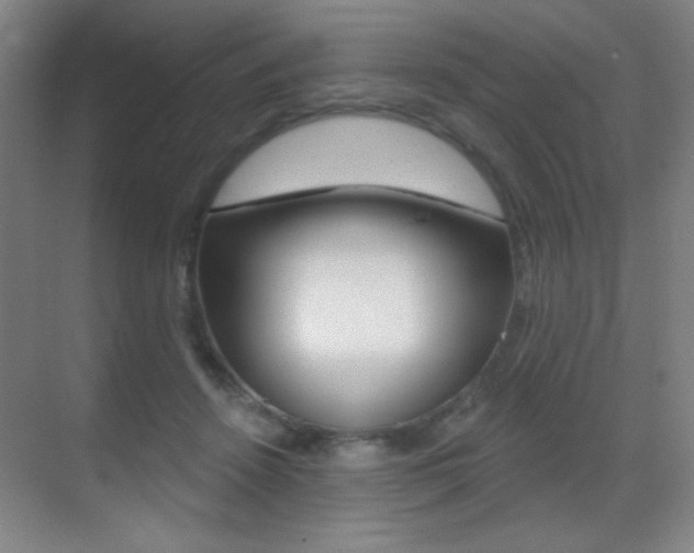 X0000070400456200606090934
