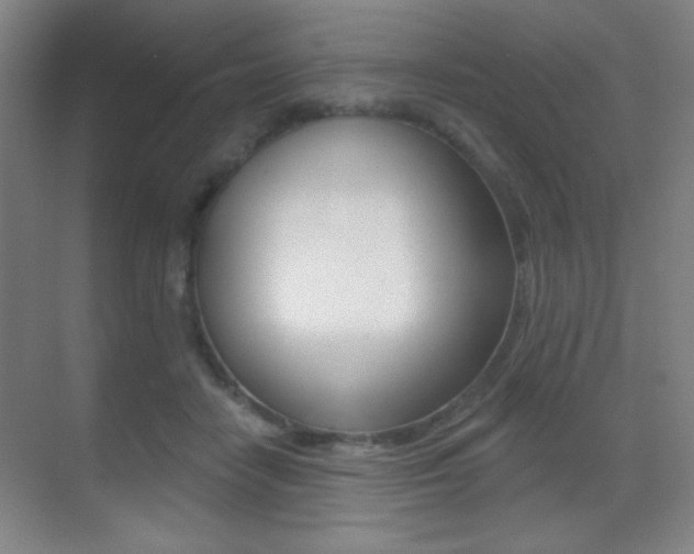 X0000070400458200606090934