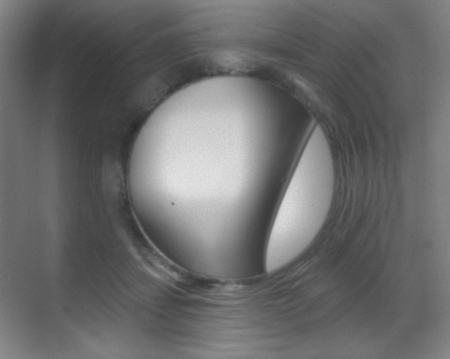 X0000070400459200606090934