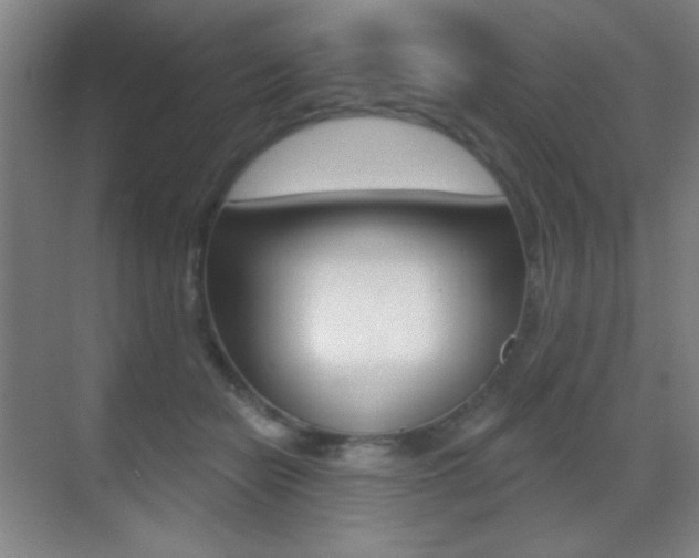 X0000070400462200606090934