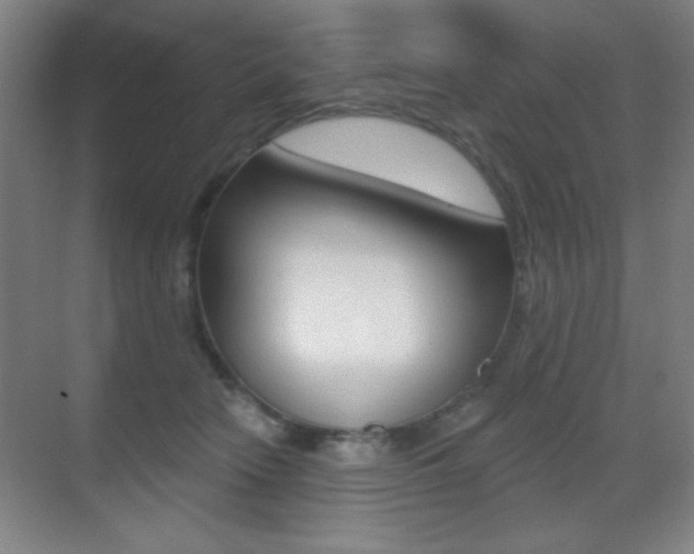 X0000070400466200606090934