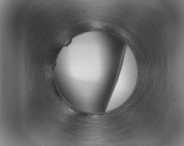 X0000070400467200606090934