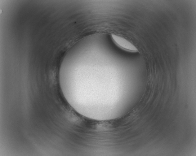 X0000070400468200606090934