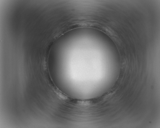 X0000070400469200606090934