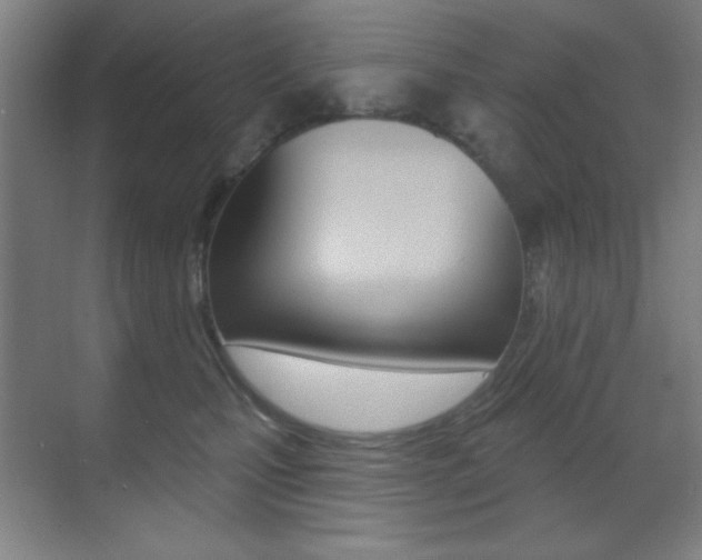 X0000070400471200606090934