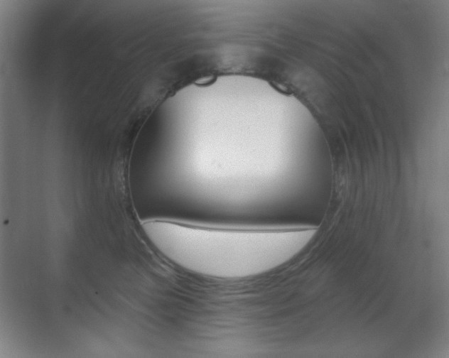 X0000070400473200606090934